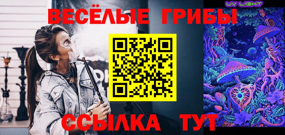Галлюциногенные грибы Psilocybe  Вход с VPN  Южноуральск 