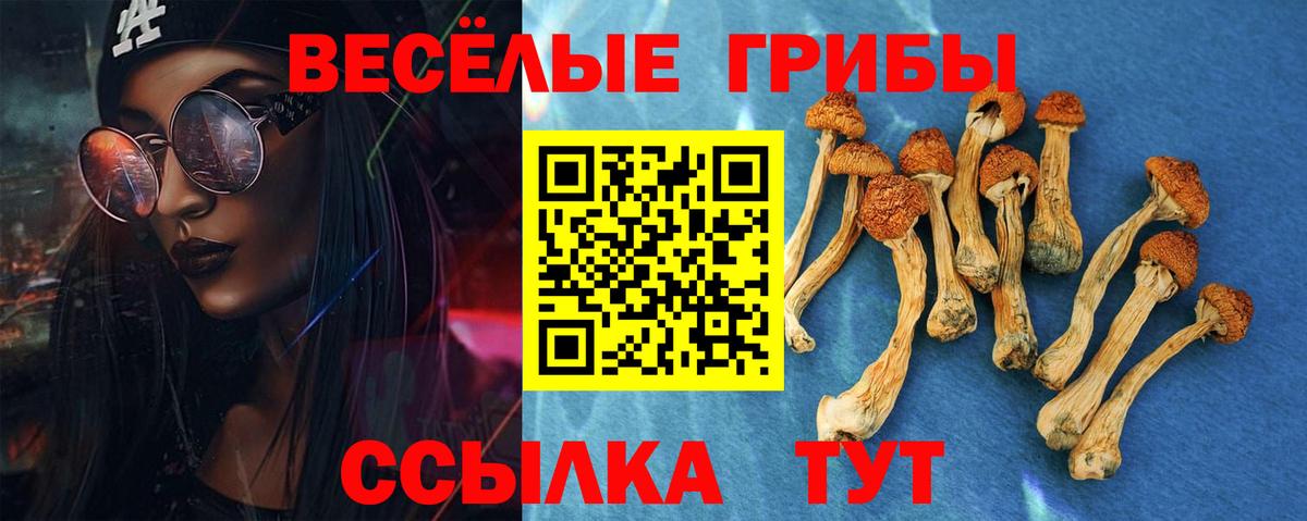 Галлюциногенные грибы Magic Shrooms Южноуральск